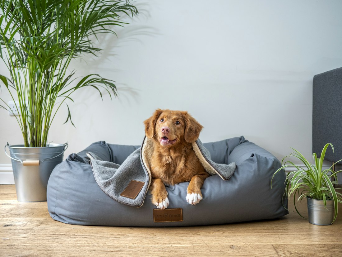 The blanket in daily use. Your photo prints edge to edge.